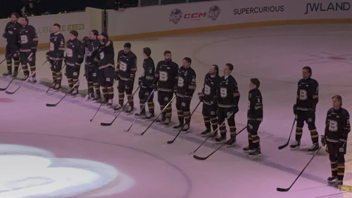 Digital Collectibles: The New Fan Engagement Frontier