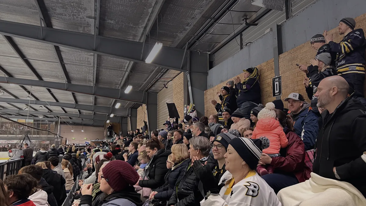 Stop Renting Your Audience: Why Fan Accounts are the Secret Sauce of Engagement